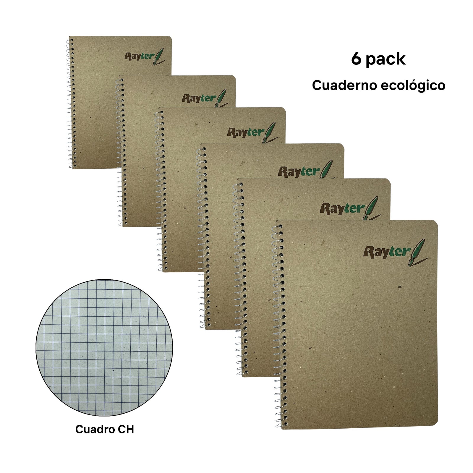 6 Pack Libretas Profesionales Rayter Cuadro Chico 100 Hojas Un Aro