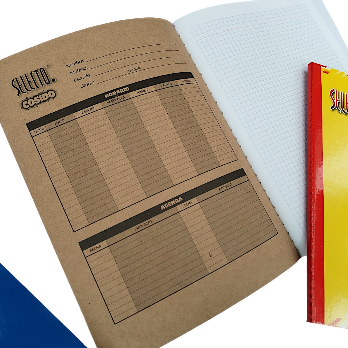 6 Pack Libretas Profesionales Selecto 100 Hojas Cocidas