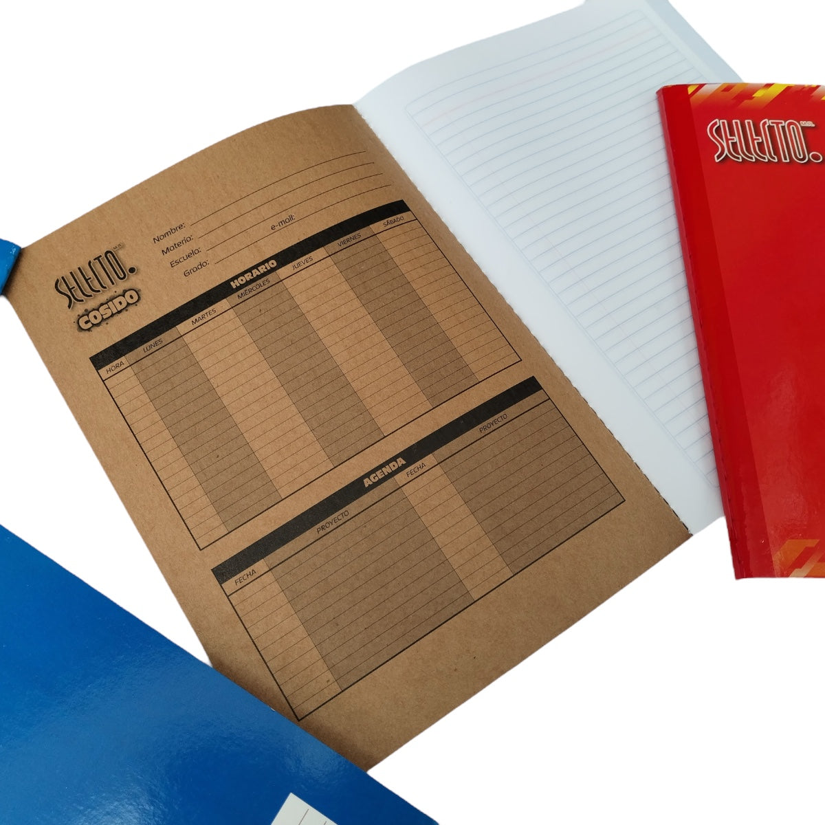 6 Pack Libretas Profesionales Selecto 100 Hojas Cocidas