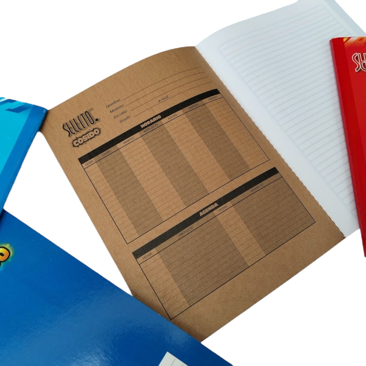 6 Pack Libretas Profesionales Selecto 100 Hojas Cocidas