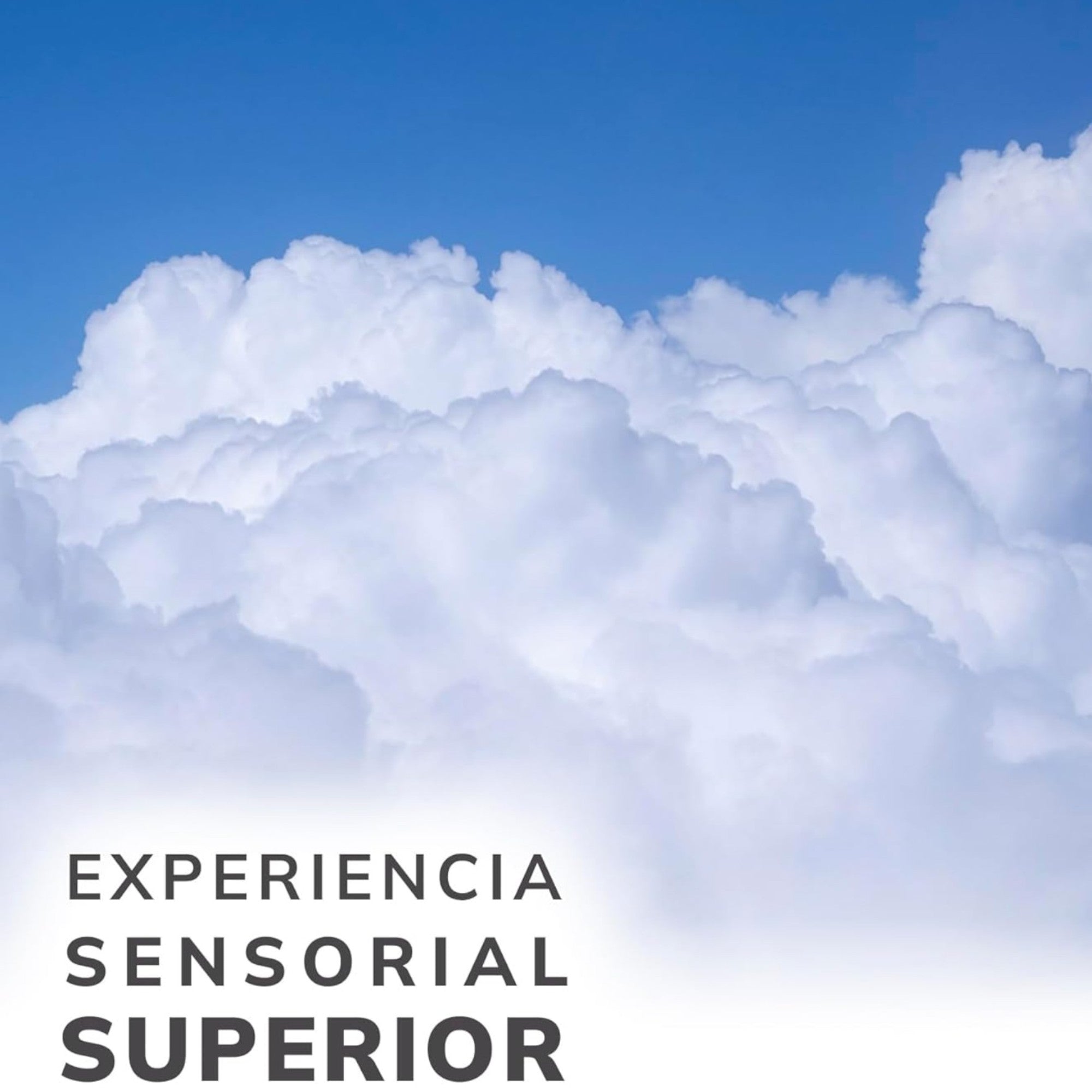 Colchón con 72 Rollos de Papel Higiénico Kleenex Cottonelle – 540 Hojas por Rollo